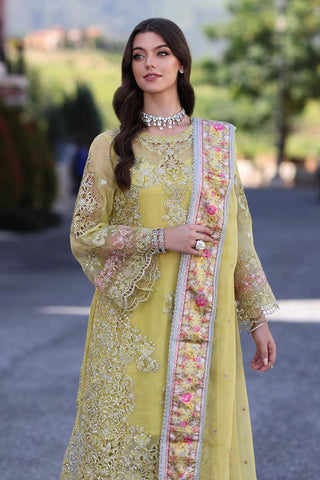 D4 Minali Noor Chiffon Handwork Schiffli And Laserkari Collection