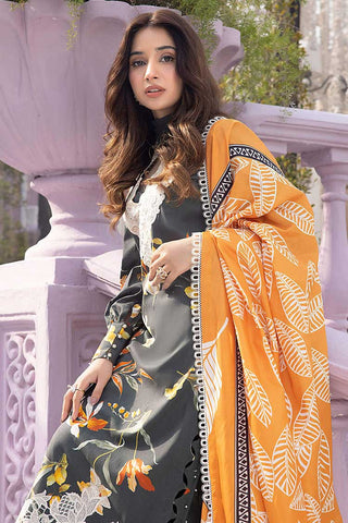 Amaltas (GBW-10) Gulbagh Winter Collection