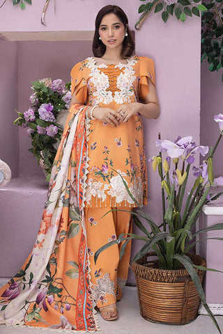 Zaroon (GBW-08) Gulbagh Winter Collection