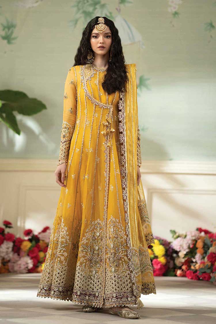 Picture of Qalamkar - DN 04 Kanza Dilnaaz Wedding Formals - Available at Raja Sahib