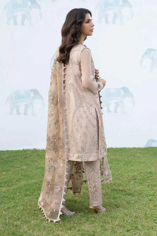 ISC 04 Maala Shendi Luxury Chiffon Collection