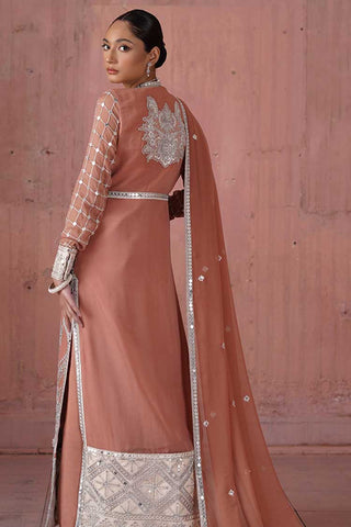 QFG 0018 The Peach Tree Naqsh Embroidered Chiffon Wedding Collection