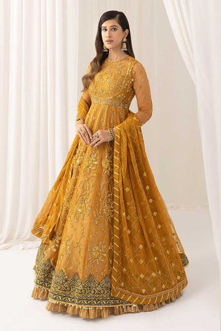 Chashni (ANB 03) Barasti Festive Collection