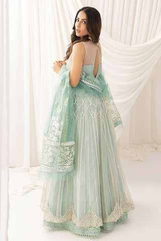 Chandni (ANB 05) Barasti Festive Collection