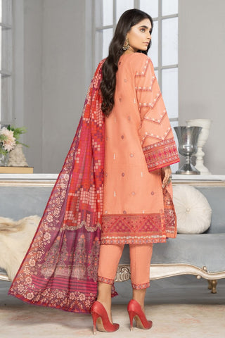 Ellena - 3-PC Stitched Cambric Cotton Suit