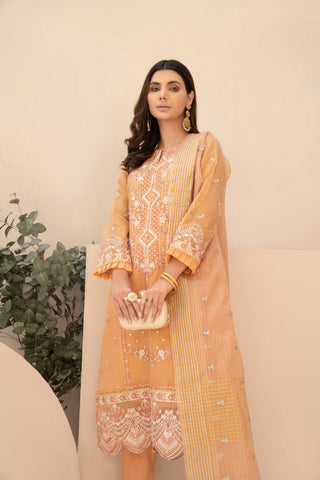 Ellena - 3-PC Stitched Zari Net Suit