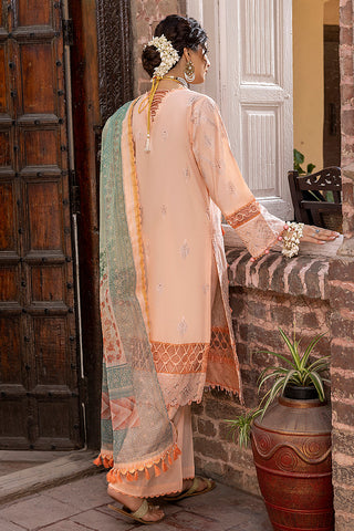 Ellena - Shabnam EY-4-05 Tehzeeb Chikankari Eid Festive Lawn Collection