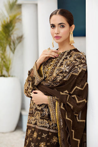 Alizeh 3 PC Autumn Tribal D-3 Pearls of Paradise Chiffon Collection 2021